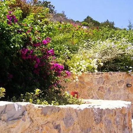 Vip House On The Hill 2